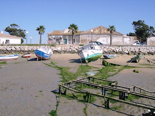Fishing Harbour at Sancti Petri