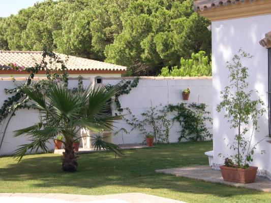 Garden, Casa Alhambra, Novo Sancti Petri, Chiclana, Costa de la Luz, Spain