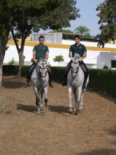 Horses Riding School, Jerez, Spain